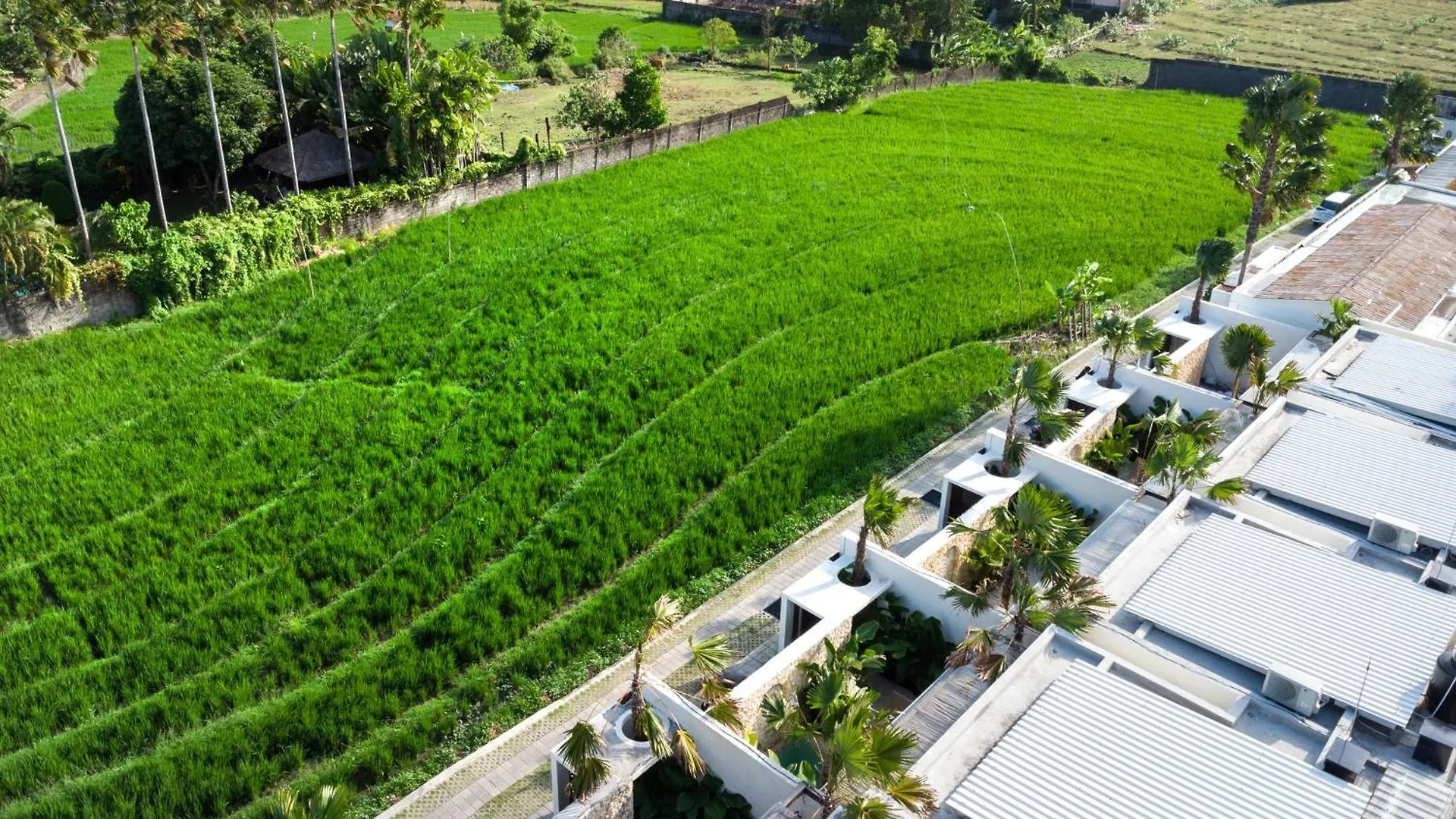 Villa Luuma 3 By Balisuperhost Seminyak